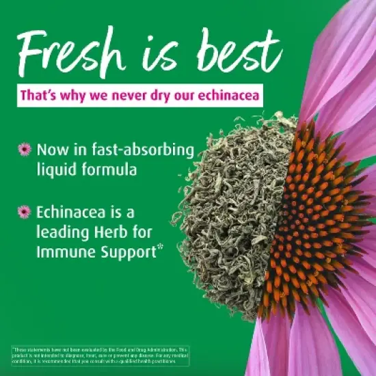 A. Vogel Echinaforce Organic Echinacea Liquid Extract &ndash; Fresh Whole Plant Herbal Supplement &ndash; Natural Immune Support Drops &ndash; Daily Wellness &ndash; 1.7 oz image {1}