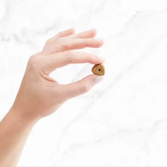 Nutro Peanut Butter Flavor Crunchy Training Treats Dog Treats image {3}