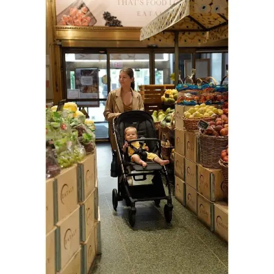 Inglesina Electa Full Size Baby Stroller - Lightweight at 19 lbs, Reversible Seat, Compact Fold, One-Handed Open & Close - Chelsea Gray image {8}