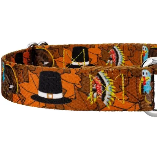 Country Brook Petz Thanksgiving Tradition Martingale Dog Collar image {3}