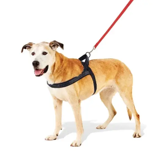 No Pull Comfort Dog Harness - Boots & Barkley&trade; image {6}