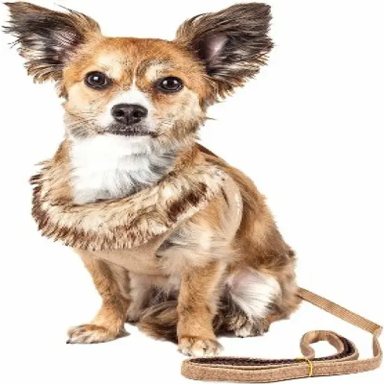 Pet Life Luxe Furracious 2-In-1 Mesh Reversed Adjustable Dog Harness-Leash W/  Collar image {1}