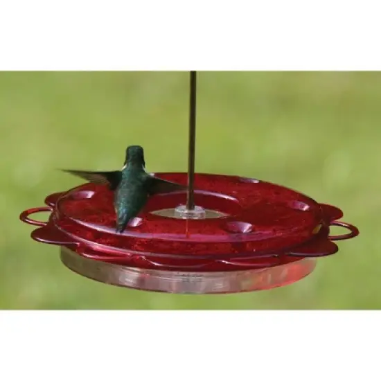Birds Choice 12oz Hummerfest Hummingbird Feeder: Weather-Resistant, Bee Proof Ports, Brass Hanger image {2}