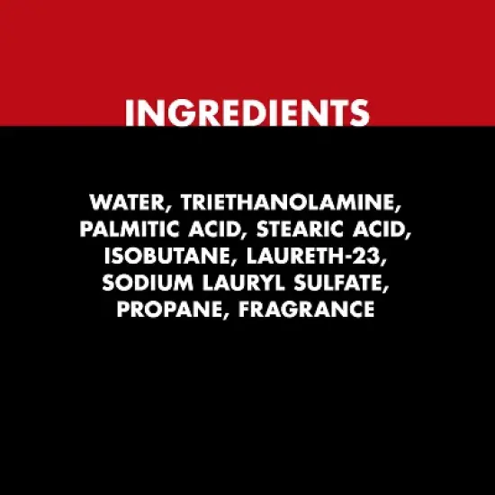 Gillette Foamy Men's Regular Shaving Foam - 14.9oz image {8}