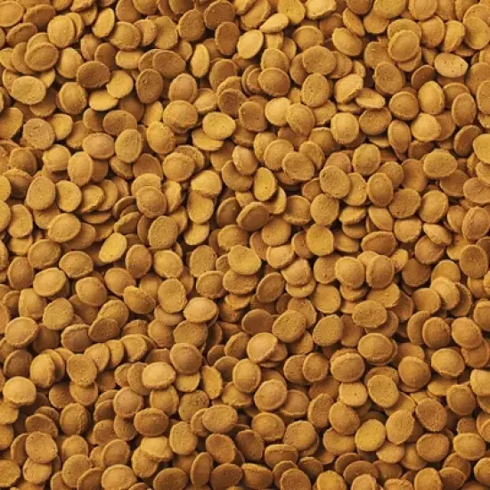 GloFish Wafers for Sharks and Cory Catfish Bottom Feeding Dry Fish Food - 1.58oz image {10}