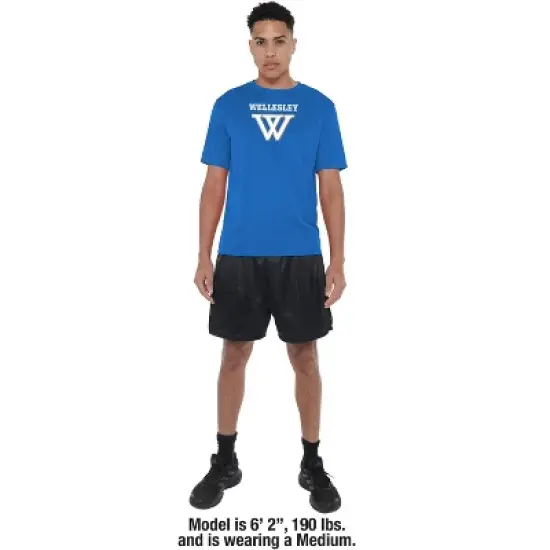 Men's Campus Lab Wellesley College Men's Sport Active T-Shirt Primary Logo image {2}