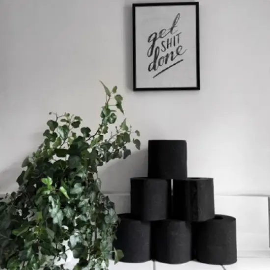 Roll-Lux Toilet Paper Gift Box 3 Rolls Sandalwood Scent Flushable Tube FSC Certified European-Made Colorful Tissue for Gifting and Bathroom Decor image {2}