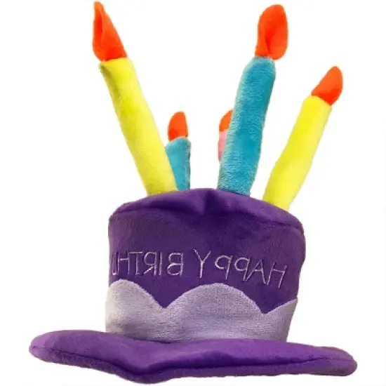 PetSport Happy Birthday Party Hat image {2}