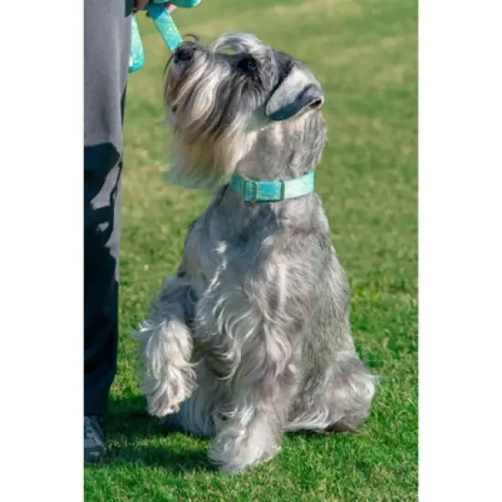 Country Brook Petz Green Paisley Martingale Collar and Leash image {2}