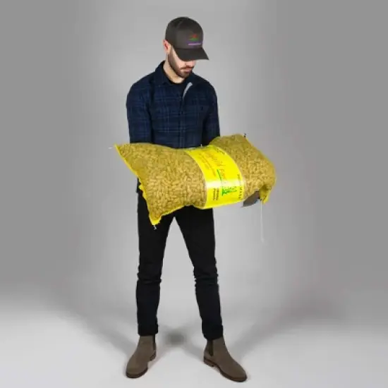 Wingfield Farm Virginia In-Shell Peanuts, Feed Wild Animals, 25 Pound Bag image {3}