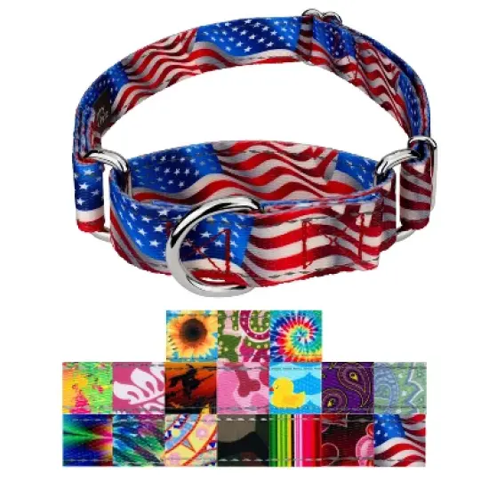 Country Brook Petz HossFit Jr Wide Reflective Martingale Dog Collar Collection Featuring Night Safe Designs image {8}