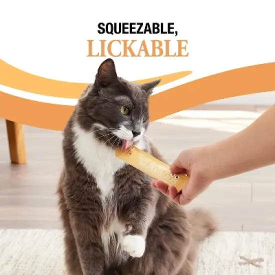 Good 'n' Tasty Spoonable Chicken, Duck and Salmon Flavor Lickable Cat Treats - 2.9oz/6ct image {11}