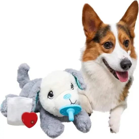 Allforpaws Pups Dog Toys, Puppy Soothing Heartbeat Warm Bear Comfort Dog Sleep Aid Plush Toy, Pacifier Buddy, White image {6}