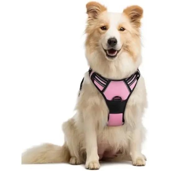 rabbitgoo Dog Harness No Pull image {8}