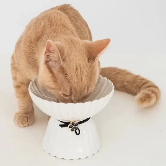 Dexypaws: Elevated Ceramic Cat Bowl, Blush Pink & Rose Gold Flower, 8.45oz image {4}