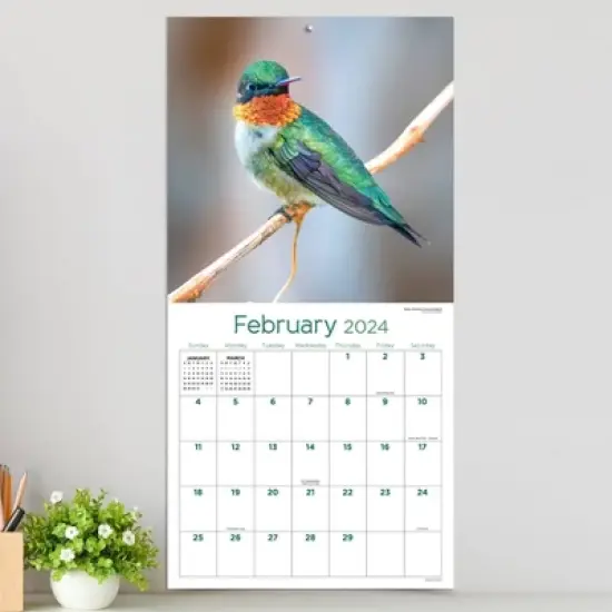TF Publishing 2024 Wall Calendar 12"x12" Backyard Birds image {2}