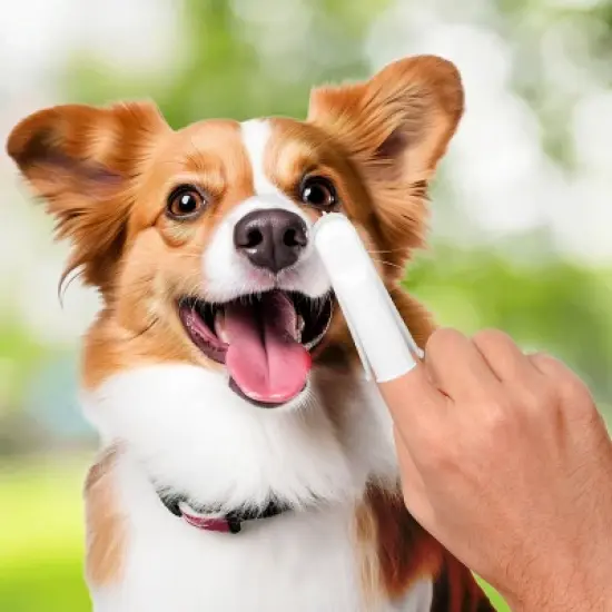 Groomer Essentials Finger Toothbrushes - 50 Count image {5}