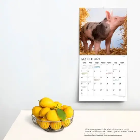 StarGifts 2024 Wall Calendar 12"x12" Farmyard Piglets image {3}