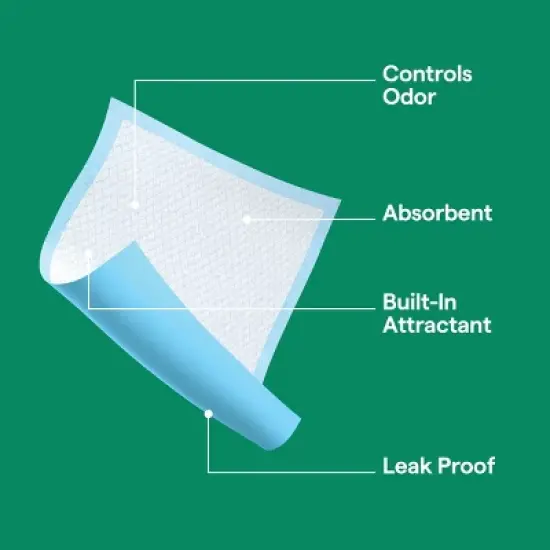 Puppy and Adult Dog Scented Training Pads - L - Forest Scent - 50ct - up&up&trade; image {5}