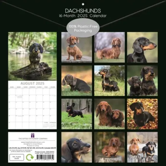 The Gifted Stationery 2025 Square Wall Calendar, Dachshund, 16-Month Paw Prints Theme with 180 Reminder Stickers (12 x 12 In) image {3}