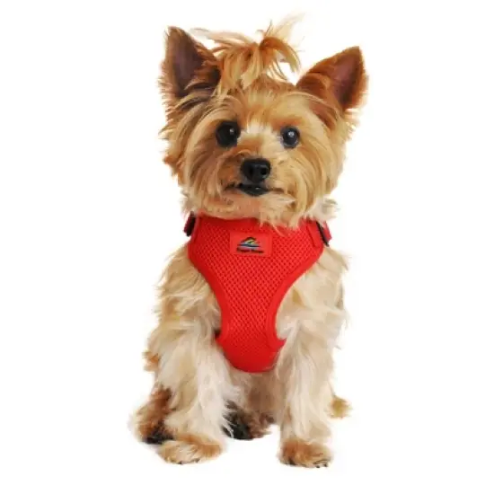 Doggie Design Wrap and Snap Choke Free Dog Harness - Flame Red image {6}