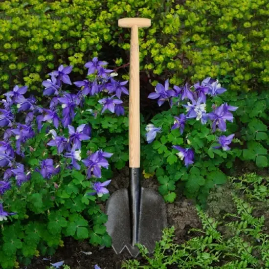 DeWit Serrated Shovel &ndash; Compact & Powerful for Cutting Through Roots image {3}