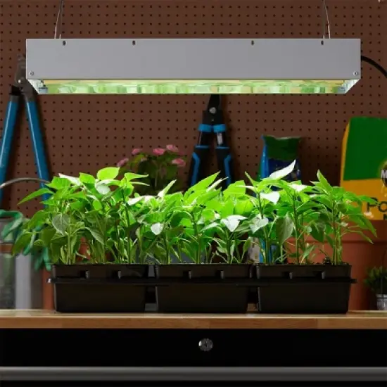 Hydrofarm FLT24 Agrobrite 4-Tube Daisy Chainable Hydroponic 2-Foot Grow Light Fixture 96W with 4-T5 Bulbs for Indoor Home Gardens image {5}