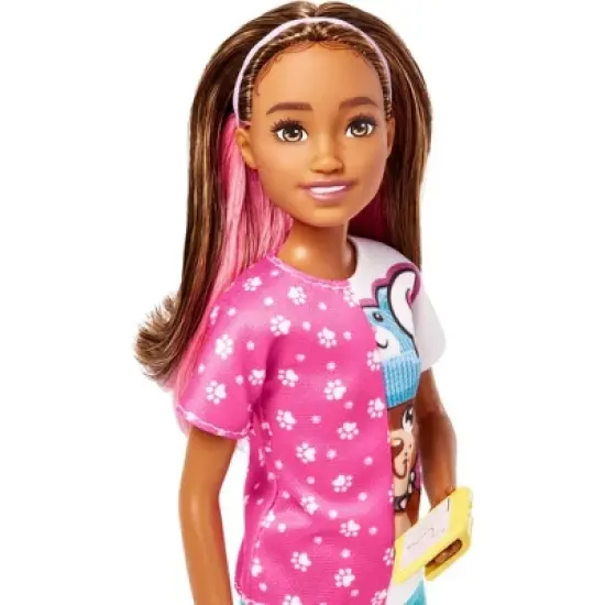 Barbie Skipper Doll and Dog Walker Set with Puppy and Accessories First Jobs image {1}