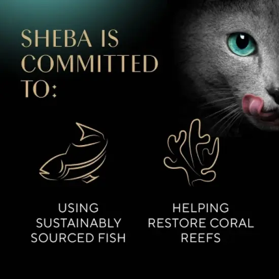 Sheba Perfect Portions Pate Fish, Seafood, Tuna, Beef and Chicken Flavor Variety Pack Wet Cat Food - 2.6oz/36ct image {9}