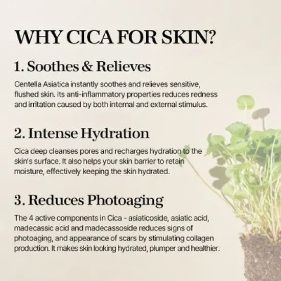 Mixsoon Soondy Centella Asiatica Essence (3.3 oz) Mix Soon Intense Hydration & Soothing Skin Facial Properties image {3}