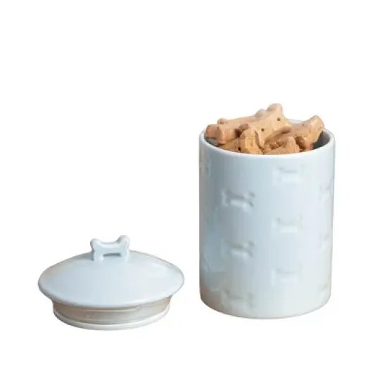 Park Life Designs 46 fl oz Manor Dog Treat Jar Food Storage Container - Aqua Blue image {1}