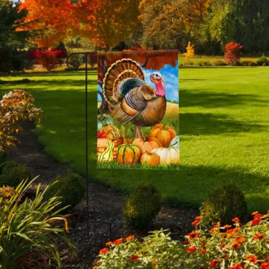 Briarwood Lane Fall Thanksgiving Garden Flag 12x18 For Outdoor Turkey and Pumpkins For Thanksgiving Garden Flag Flags For Outside image {3}