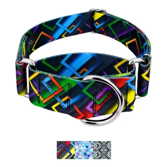 Country Brook Petz HossFit Jr Wide Martingale Dog Collar - Abstract Collection image {10}