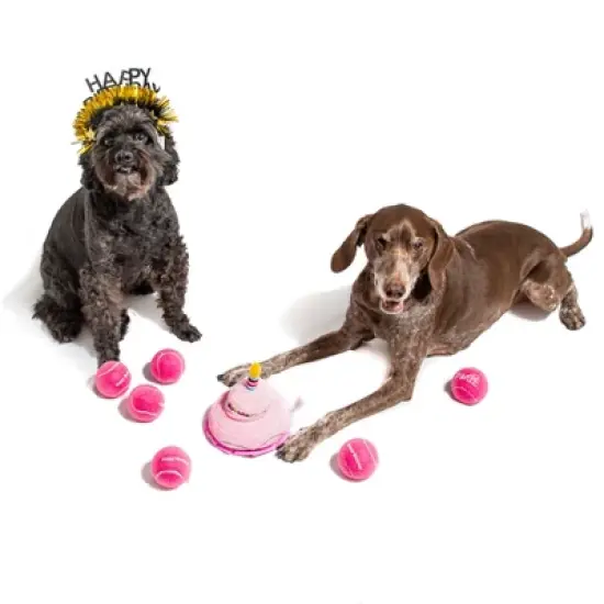 Midlee Happy Birthday Dog Tennis Balls (6 Pack) (Regular, Pink) image {3}
