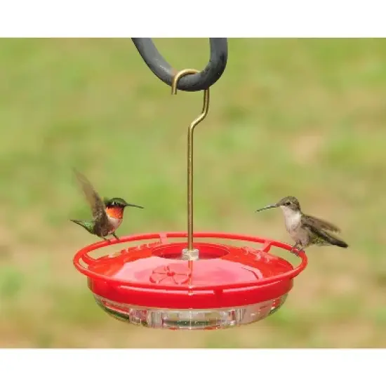 Aspects HummZinger High View Mini Hanging Hummingbird Feeder - 8 oz (Red) image {4}