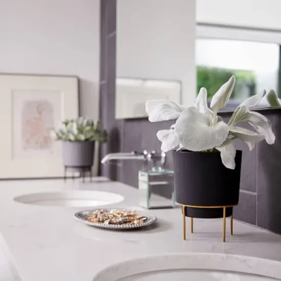 Bloem Hopson With Metal Stand Plastic Planter Pots  image {2}