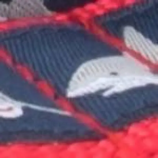 The Worthy Dog Jaws Dog Leash image {2}