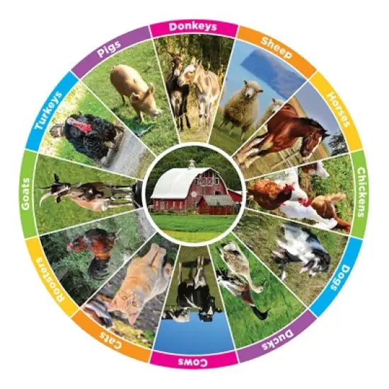 Ashley Productions Smart Poly Smart Wheels image {2}