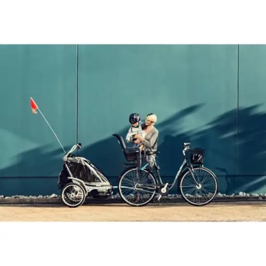 Thule Ridealong Bike Seat - Light Gray image {1}