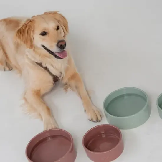 Dexypaws: Ceramic Dog Bowl: Sage Green, 26oz, Pet Feeding Dish image {7}