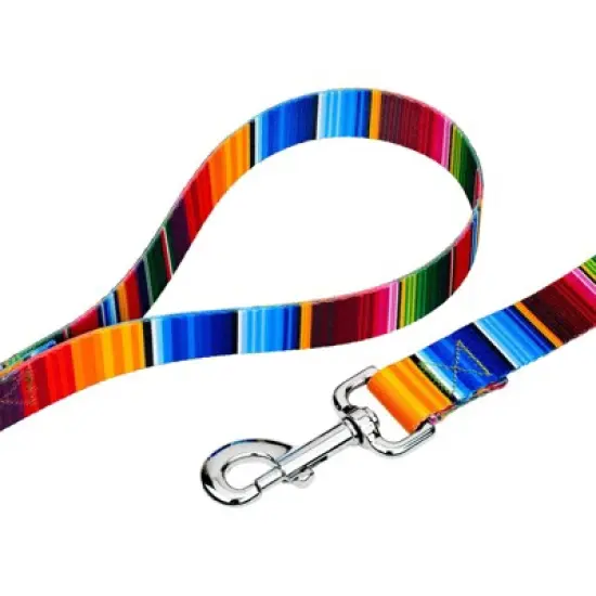 Country Brook Petz Serape Martingale Dog Collar and Leash image {4}
