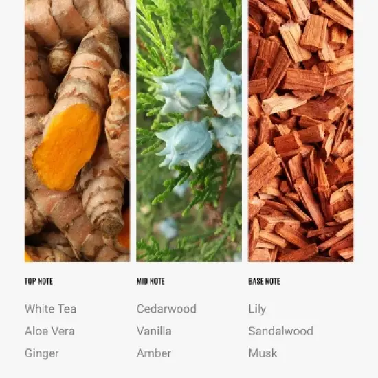 Hotel Collection Chauffeur Smart Car Diffuser Oil - Dream On - Premium Car Air Freshener Cartridge - White Tea, Sweet Vanilla & Earthy Cedar image {3}