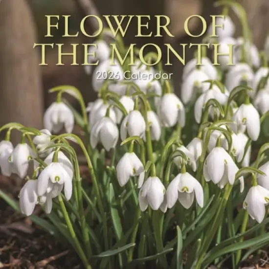 2026 Square Wall Calendar, Flower of the Month, 16-Month Floral Theme with 180 Reminder Stickers (12x12 In) image {4}