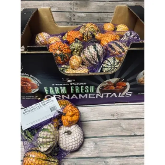 Mixed Ornamental Gourds - 5ct image {3}
