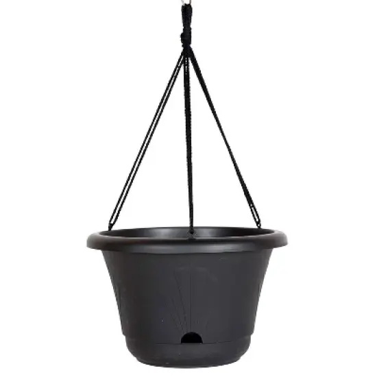 Bloem 13" Wide  Lucca Self Watering Hanging Basket image {3}