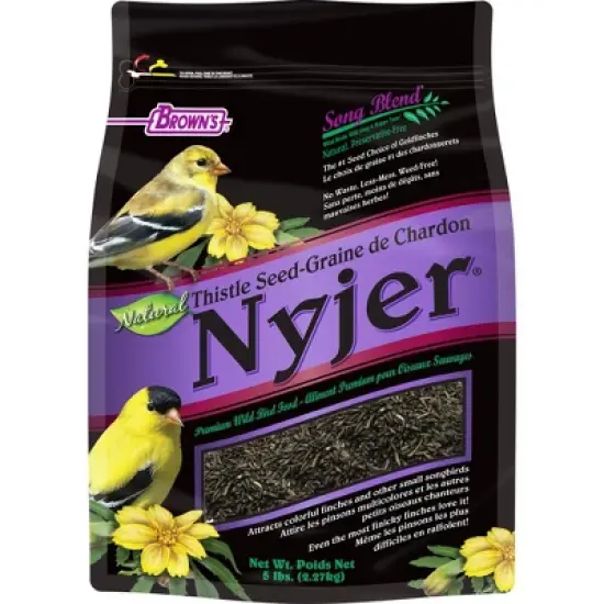 Song Blend Thistle Seed Nyjer - Pack of 6 image {1}