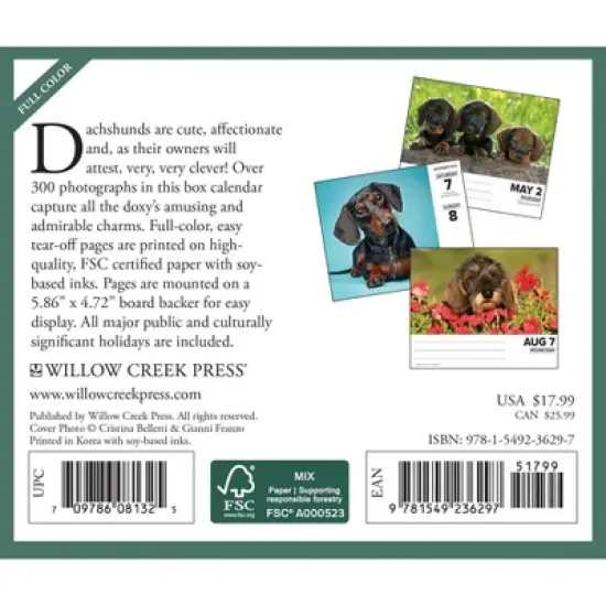 Willow Creek Press 2024 Daily Desk Calendar 5.2"x6.2" Dachshunds image {1}