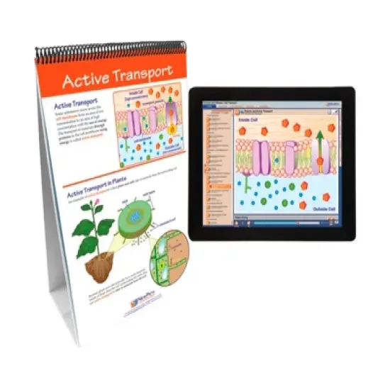 NewPath Learning Osmosis and Diffusion Flip Chart and Online Multimedia Lesson image {1}