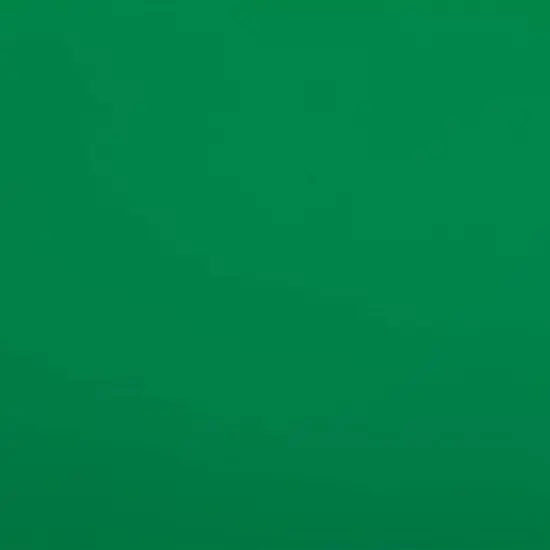 JAM PAPER Green Glossy Gift Wrapping Paper Roll - 2 packs of 25 Sq. Ft.: Solid Christmas Foil Gift Wrap image {2}