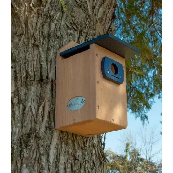 Cedar Standard Bluebird House (Blue) image {9}